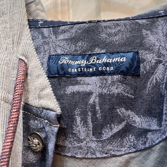 Tommy Bahama Light Blue Hooded Pullover with Pastel Stripes - Picture 4 of 5